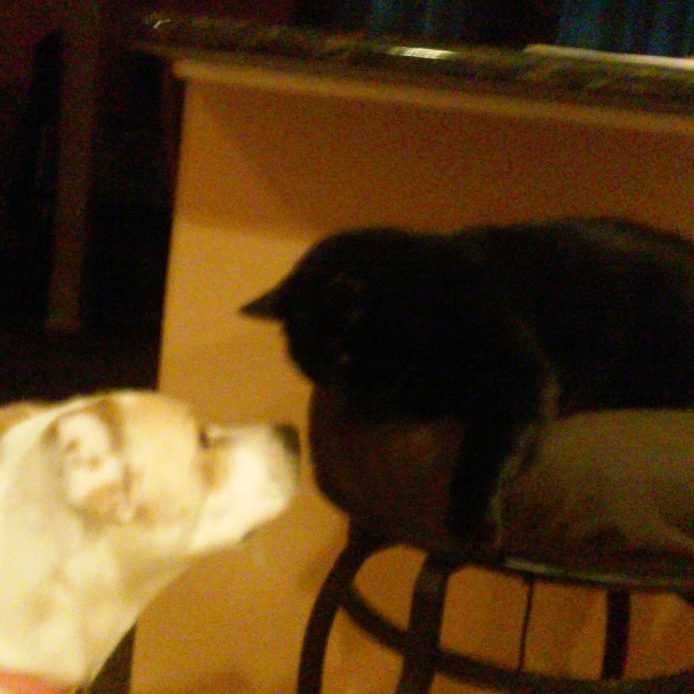 Meet your Posher, Kathleen